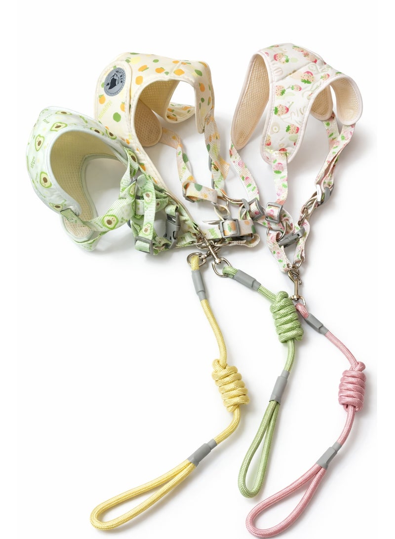 طقم سرج ومقود للكلاب بنقوش فواكه، قابل للتعديل للكلاب الكبيرة بوزن 8-12 كجم، يتضمن مقاود متناسقة - Image 1